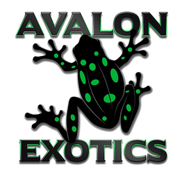 Avalon Exotics