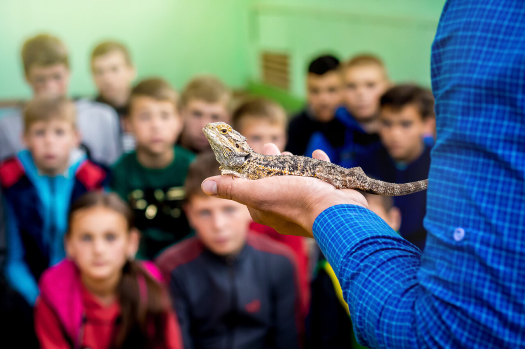 A bearded dragon lizard being held in the hand of a person wearing a blue plaid shirt, with a blurred background of attentive children watching during a presentation or class.
